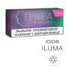 Ermenistan Terea Purple IQOS-ıluma