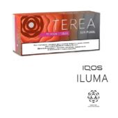 Kazakistan Terea Sun Pearl IQOS-ıluma 1 Karton