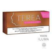 Kazakistan Terea Amber IQOS-ıluma 1 Karton