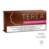 Kazakistan Terea Bronze IQOS-ıluma 1 Karton