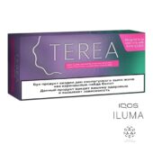 Kazakistan Terea Purple IQOS-ıluma 1 Karton