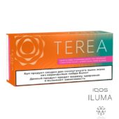 Kazakistan Terea Summer Wave IQOS-ıluma 1 Karton