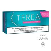 Kazakistan Terea Turquoıse IQOS-ıluma 1 Karton