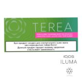 Kazakistan Terea Zing Wave IQOS-ıluma 1 Karton